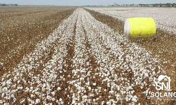 Imagem 6: FAZENDA EM TANGARÁ DA SERRA MT