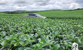Imagem 4: Vendo Fazenda de Agricultura Primavera do Leste/MT