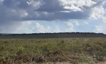 Imagem 6: Fazenda a Venda Região Paranatinga - MT