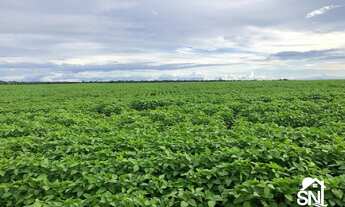 Imagem: Ótima Fazenda à venda na região de Confresa-MT