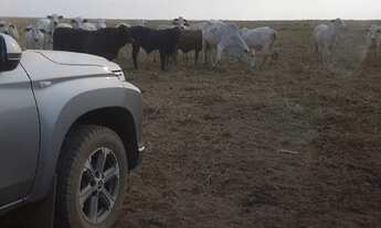 Imagem 5: Vende esta propriedade de porteira fechada em nova Ubiratan - MT