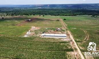Imagem 3: FAZENDA EM TANGARA DA SERRA MT
