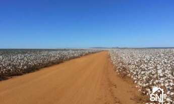 Imagem 5: Fazenda a Venda Município: entre paredão e primavera - MT