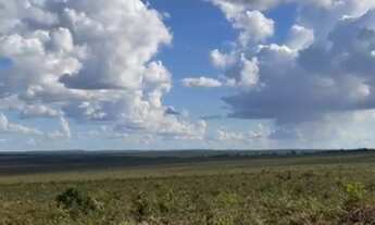 Imagem 7: Fazenda a Venda Região Paranatinga - MT