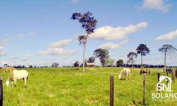 Imagem 5: BELÍSSIMA FAZENDA PARAÍSO DO SUL - MT