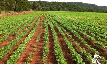 Imagem 2: EXCELENTE FAZENDA EM NOBRES MT