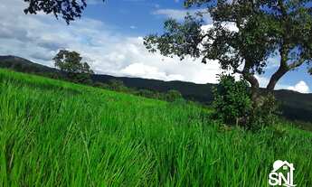 Imagem 3: FAZENDA EM BARRA DO BUGRES MT