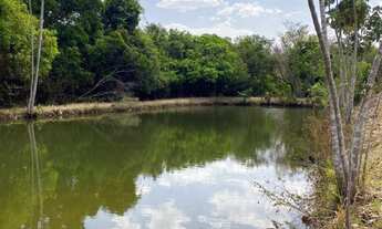 Imagem: VENDO FAZENDA PROPRIA PARA CRIACÃO DE GADO