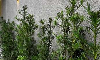 Imagem 7: EXCLUSIVIDADE: CASA COM 4 SUÍTES NO MELHOR DO JARDIM AMÉRICA