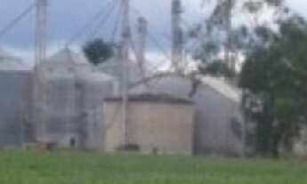 Imagem 4: Fazenda em Primavera do Leste- MT