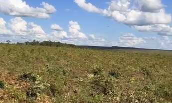 Imagem 5: Fazenda a Venda Região Paranatinga - MT