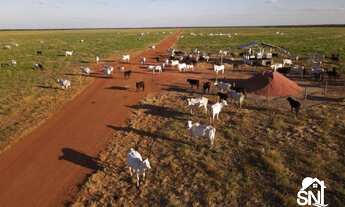 Imagem: Fazenda 33 mil há na região de Porto Alegre