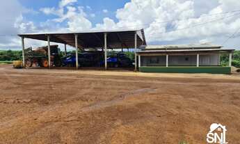 Imagem 6: Vendo Fazenda de Agricultura Primavera do Leste/MT