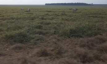 Imagem 7: Vende esta propriedade de porteira fechada em nova Ubiratan - MT