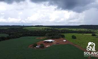 Imagem: Vendo Fazenda de Agricultura Primavera do