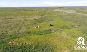 Imagem: Fazenda a Venda no Pantanal de Poconé MT