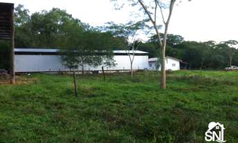 Imagem 6: EXCELENTE FAZENDA EM NOBRES MT