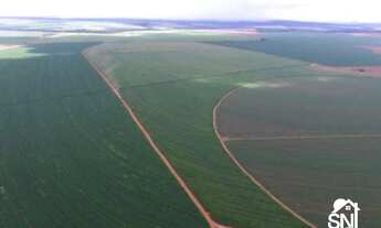 Imagem 4: Fazenda a Venda Município: entre paredão e primavera - MT