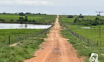 Imagem 7: FAZENDÃO COM PISTA DE POUSO A VENDA NO TOCANTINS