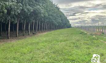 Imagem: FAZENDÃO COM PISTA DE POUSO A VENDA NO