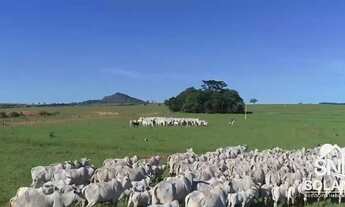 Imagem: FAZENDA A VENDA EXTRA CAIAPONIA GO