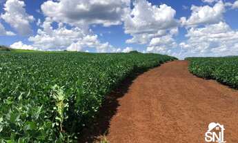 Imagem 4: FAZENDA A VENDA EXTRA CAIAPONIA GO
