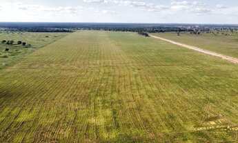 Imagem: Fazenda localizada no Município de Araguaiana