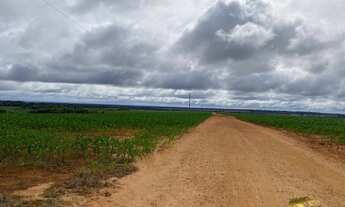 Imagem 4: FAZENDA ENTRE NOVA MUTUM E LUCAS DO RIO VERDE MT