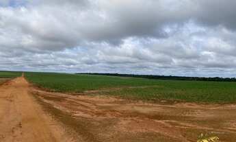 Imagem: FAZENDA ENTRE NOVA MUTUM E LUCAS DO RIO