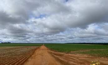 Imagem 3: FAZENDA ENTRE NOVA MUTUM E LUCAS DO RIO VERDE MT