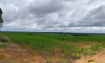 Imagem 5: FAZENDA ENTRE NOVA MUTUM E LUCAS DO RIO VERDE MT