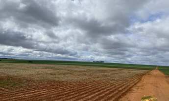 Imagem 2: FAZENDA ENTRE NOVA MUTUM E LUCAS DO RIO VERDE MT