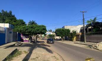 Imagem 6: Excelente Chacara em Arena, em São José de Mipibu com 7745 m² na avenida principal