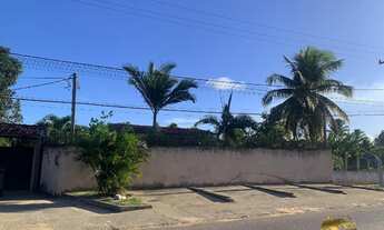 Imagem 4: Excelente Chacara em Arena, em São José de Mipibu com 7745 m² na avenida principal