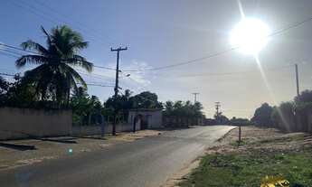 Imagem 5: Excelente Chacara em Arena, em São José de Mipibu com 7745 m² na avenida principal