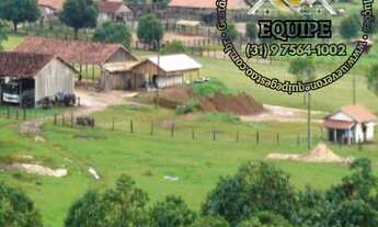 Imagem 3: Fazenda para Pecuária, em Rondolandia a venda, com área 149.132 hectares, por R$ 860.000.0