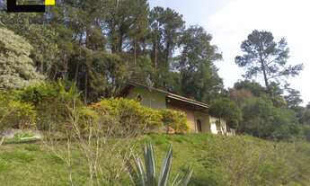 Imagem 5: SÍTIO COM 99.161M² DE ÁREA TOTAL À VENDA NO BAIRRO SÃO JOÃO - EM CAMPO LIMPO PAULISTA/SP