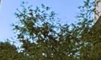 Imagem: APARTAMENTO MOBILIADO DE 128M² COM 3 SUÍTES