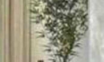 Imagem 2: CASA COM 1132 M² DE TERRENO E 817 M² DE ÁREA CONSTRUÍDA COM 4 SUÍTES, SENDO 1 SUÍTE MASTER