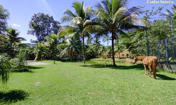 Imagem 4: Sítio com 25.000m² a Venda em Jaqueira - Anchieta/ES