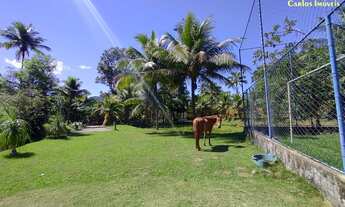 Imagem 3: Sítio com 25.000m² a Venda em Jaqueira - Anchieta/ES