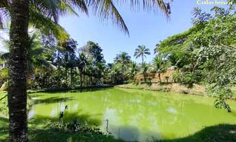 Imagem 2: Sítio com 25.000m² a Venda em Jaqueira - Anchieta/ES