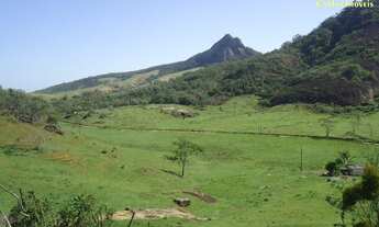 Imagem: Terreno Espetacular de 5 Alqueires, equivalente