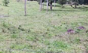 Imagem: TERRENO RURAL em GUARAPARI - ES, PERNAMBUCO