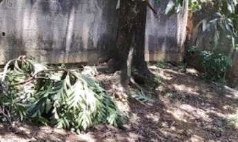 Imagem: Casa 3 Quartos a Venda em São Francisco