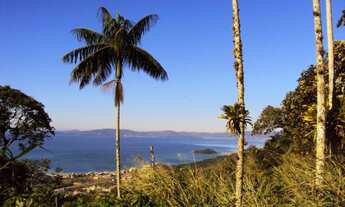 Imagem: TERRENO À VENDA, 29600 M² POR R$ 1.500.000