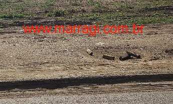 Imagem 2: Terreno industrial e comercial à venda no Éden em Sorocaba Excelente para construção de ga