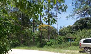 Imagem 3: Sítio à venda, com 173.000M² em Juquiá/SP