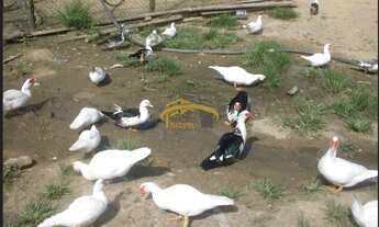 Imagem 5: Sítio à venda, com 173.000M² em Juquiá/SP