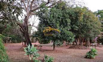 Imagem 2: Chácara a venda , Campinas, com 6 dormitórios, sendo 3 suíte, área com churrasqueira, pisc